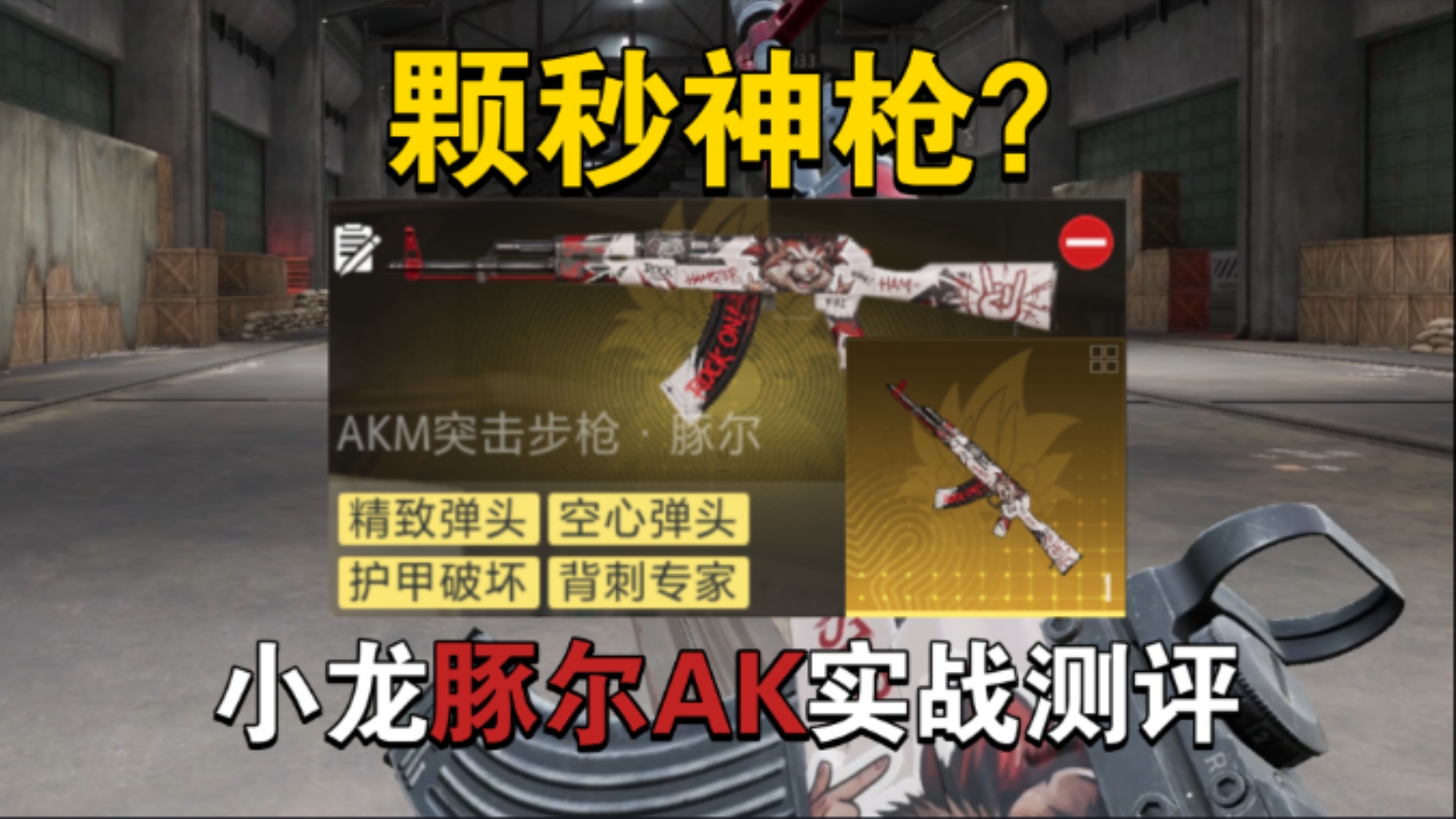 豚尔AK也能合四词条？全网唯一大龙豚尔实战测评！