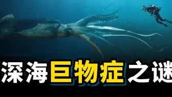 深海巨物症：为什么深海中会出现巨型生物？