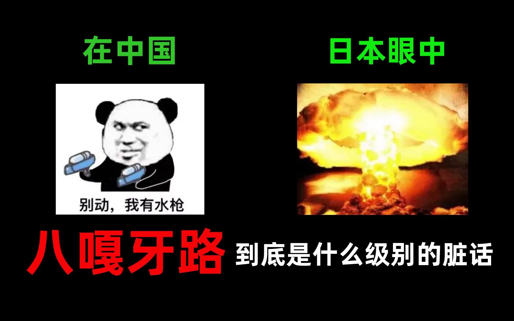八嘎牙路的意思居然不是混蛋笨蛋谁说日语没有脏话