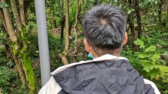 电科男秃头的背影_哔哩哔哩 (゜-゜)つロ 干杯~-bilibili