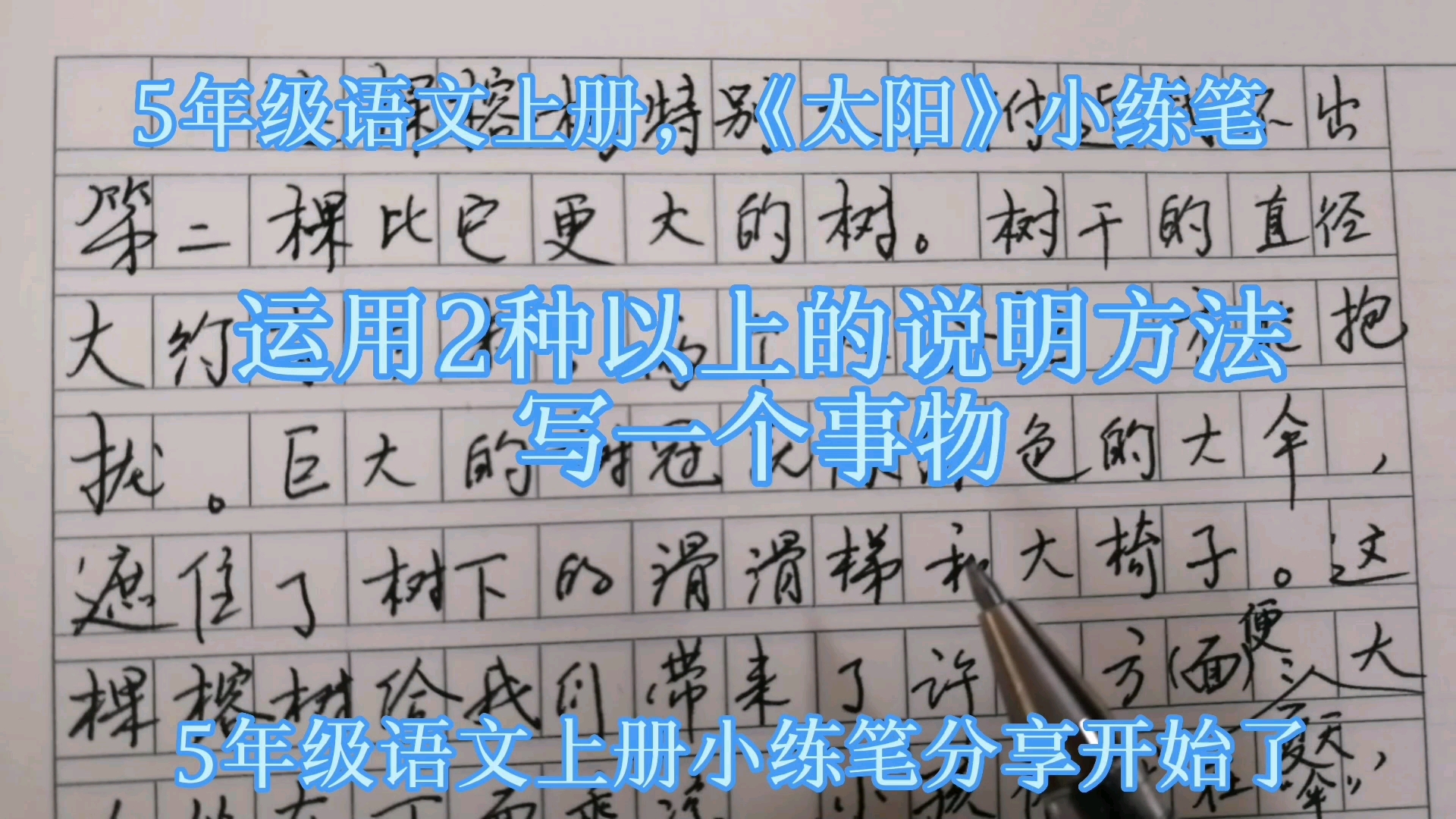 5年级语文上册,《太阳》小练笔,运用2种以上的说明方法写一个事物哔哩哔哩bilibili