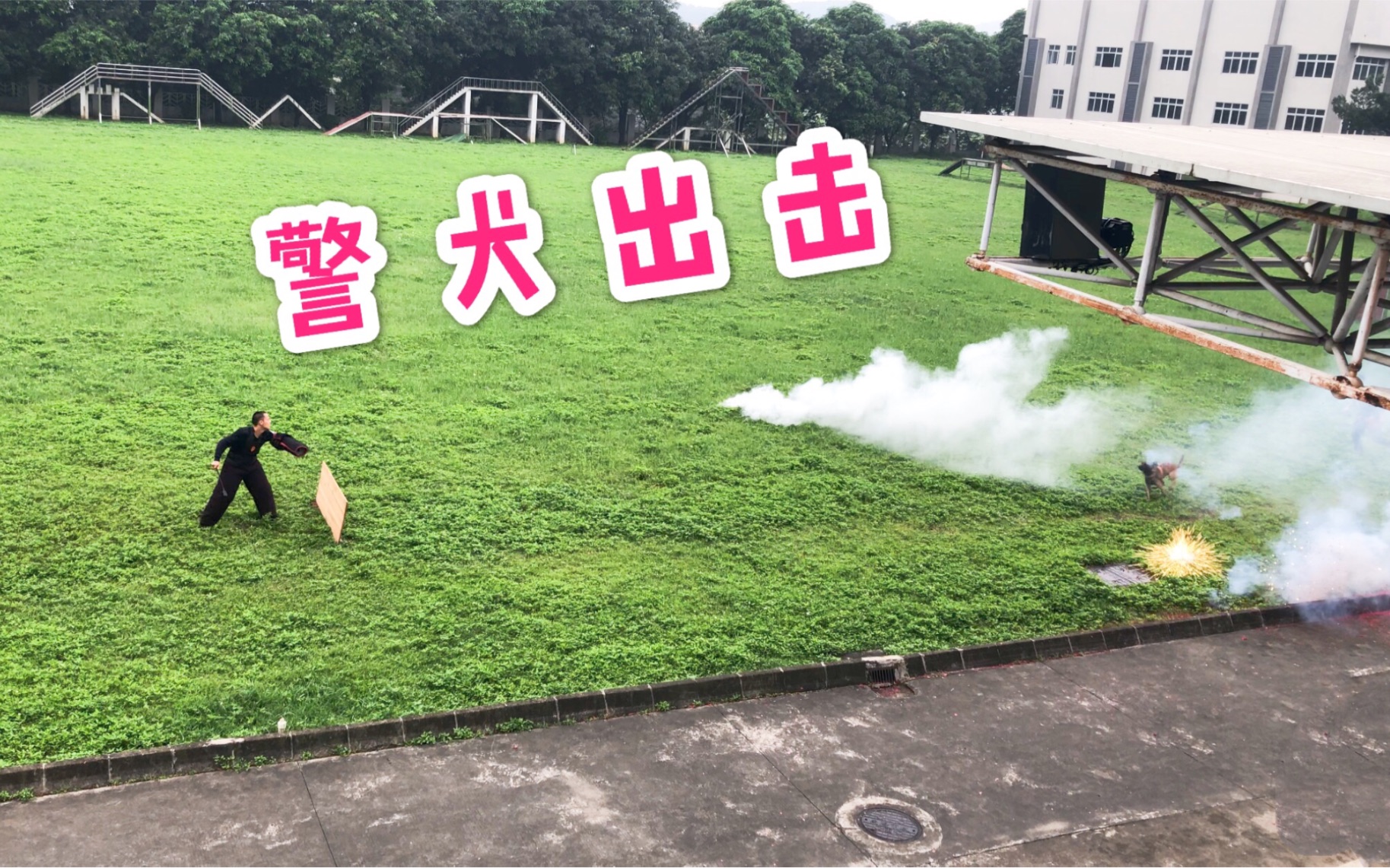 [图]警犬出击，画面燃爆现场