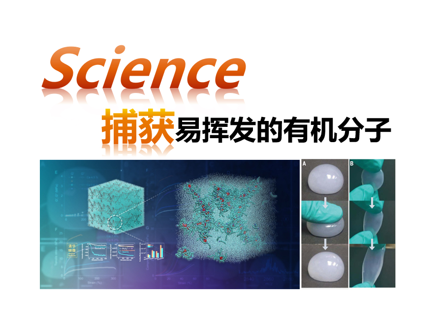 【Science】亚纳米级无机纳米线(赵桐)241026哔哩哔哩bilibili