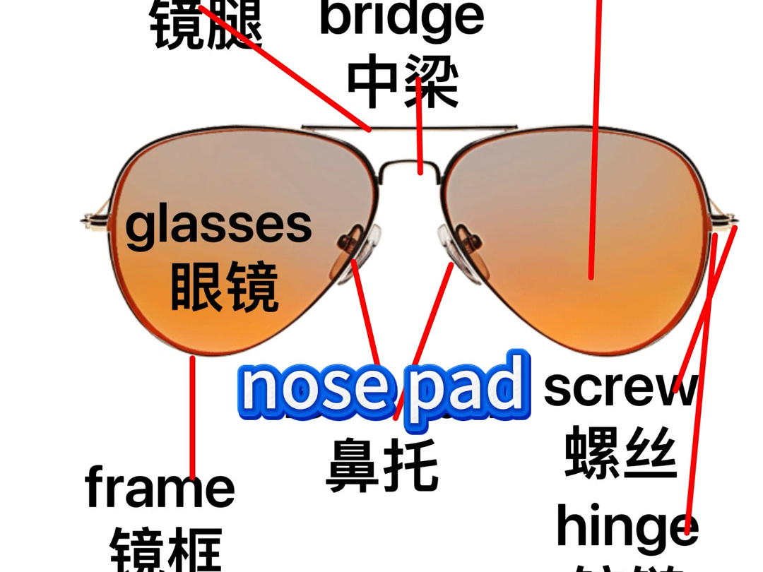 眼镜英语词汇