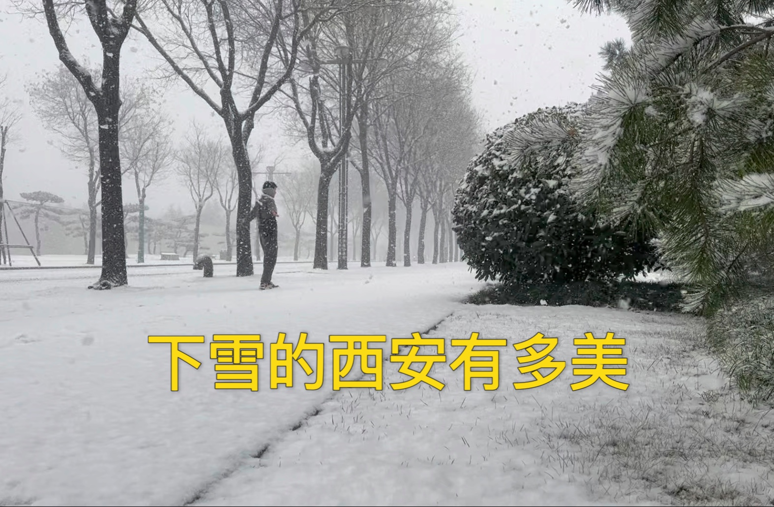 听说西安马上迎来一场大雪,已经开始期待了,去年的雪你拍到了吗哔哩哔哩bilibili