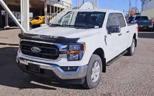 Descargar video: 2023福特F-150 XLT | Stock# KF21833 |