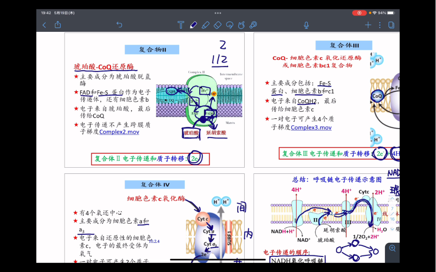 [图]【生物化学】电子传递与呼吸链