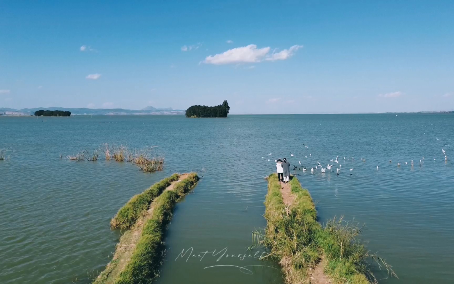 鲸鱼岛怎么去?