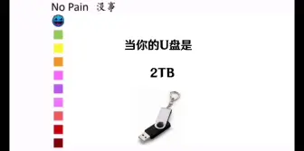 下载视频: U盘痛度表