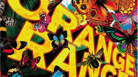 花 Orangerange 渣画质 哔哩哔哩 Bilibili