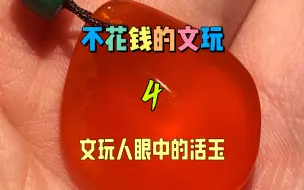 Download Video: 不花钱的文玩四