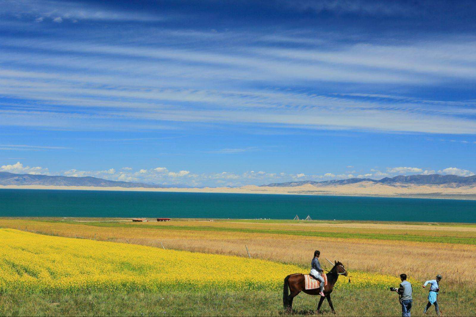 青海最美的草原——金银滩,从花海到林莽,沿途风光,优美如画