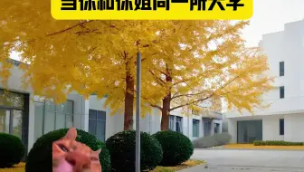 当你和你姐同一所大学