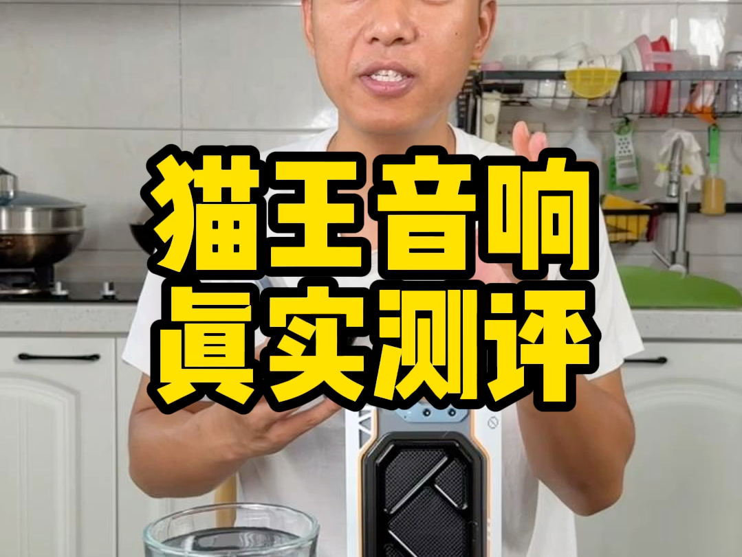 这个猫王音响音效真的那么带劲吗?哔哩哔哩bilibili