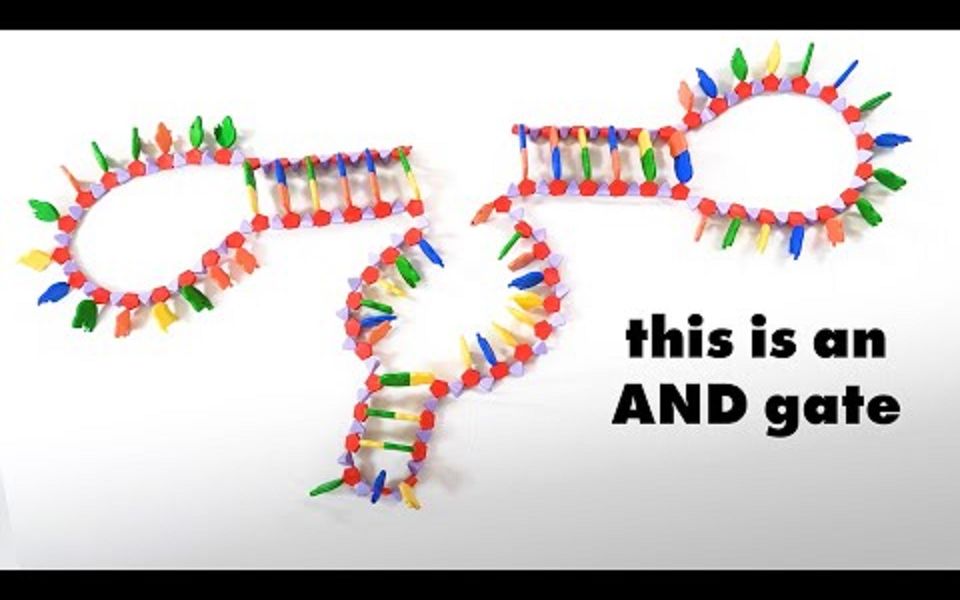 基于脱氧核糖核酸的逻辑门/Logic gates made of DNA beat me at tictactoe哔哩哔哩bilibili