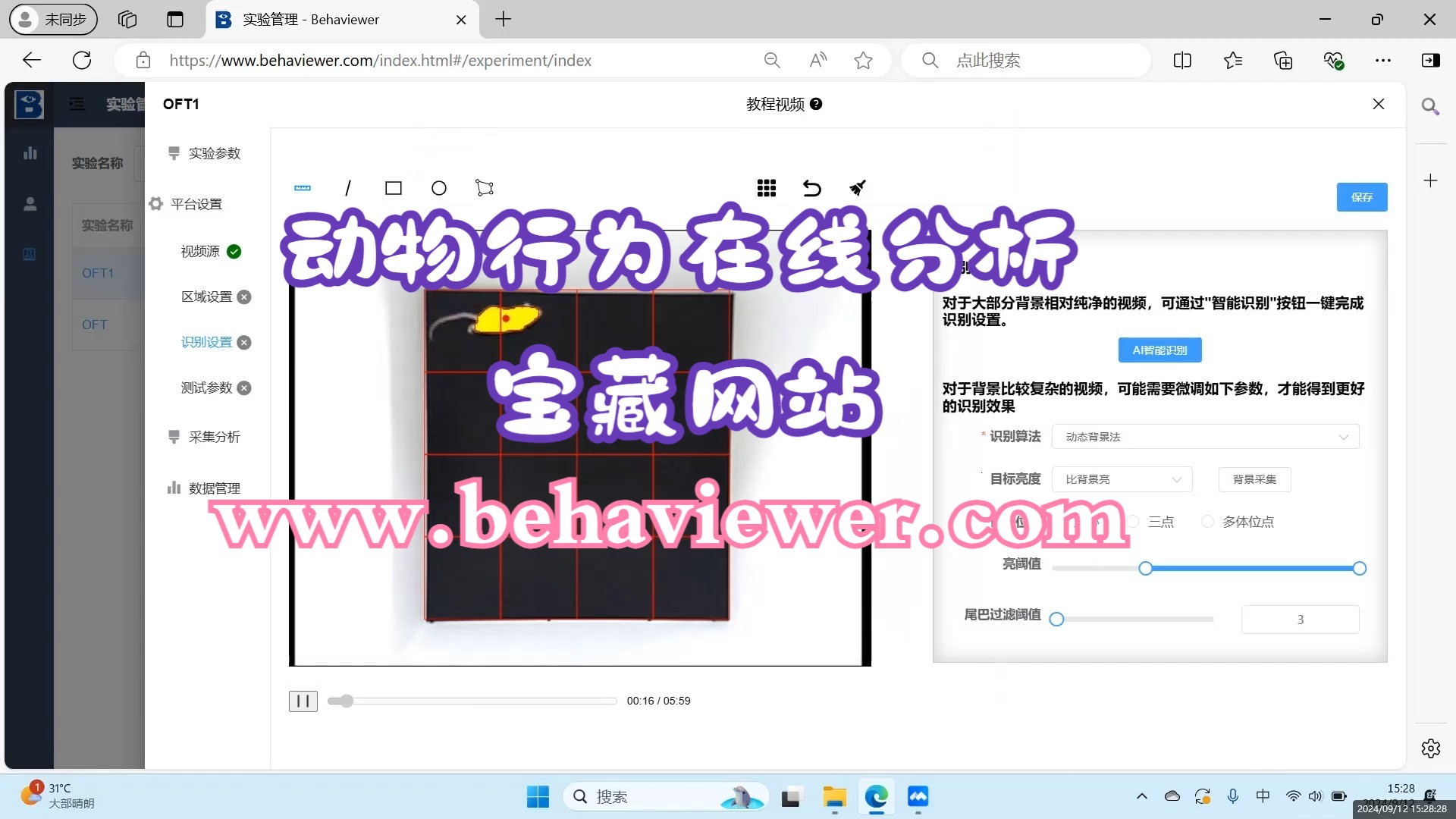 宝藏网站Behaviewer:动物行为实验在线分析新体验!哔哩哔哩bilibili