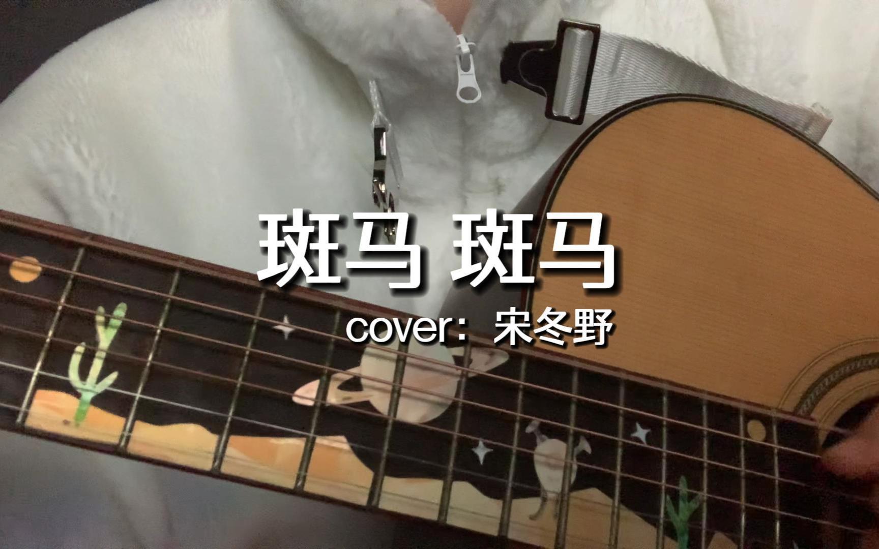【弹唱】斑马斑马cover宋冬野 你的城市没有一扇门为我打开呀