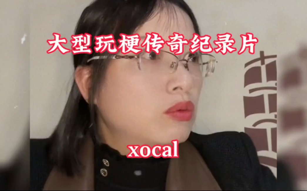 [图]大型玩梗传奇纪录片《vocal》互联网新词汇vocal#vocal #新梗