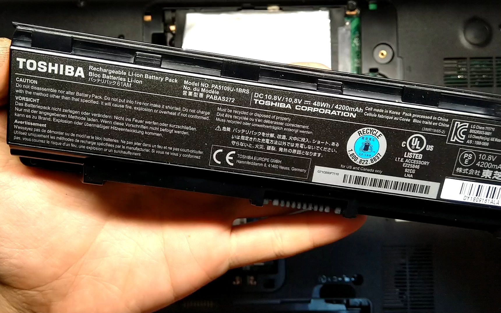 少见的东芝c50a笔记本拆机里面到底怎么样呢