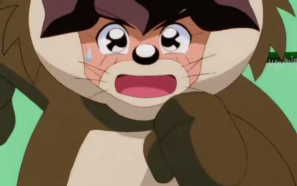 神龙斗士:沙漠中的滑板比赛,小渡终于达到神圣森林!