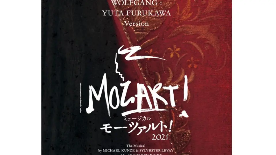 【高価値】 ◇In Search of Mozart 刺々し DVD◇モーツァルトを探して その他