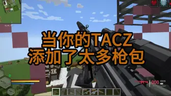 下载视频: 当你在TacZ里加入了太多枪包