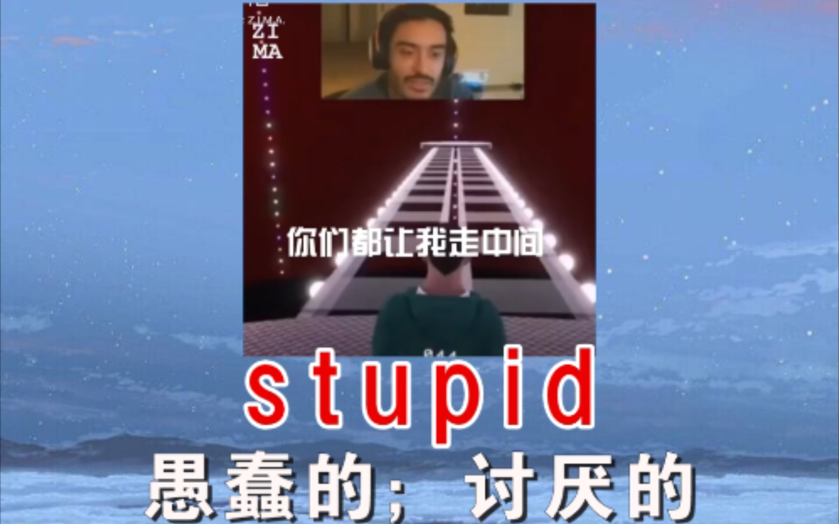 [图]stupid 愚蠢的，讨厌的