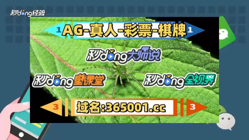 五分钟带你了解天下彩9944cc天下赢彩