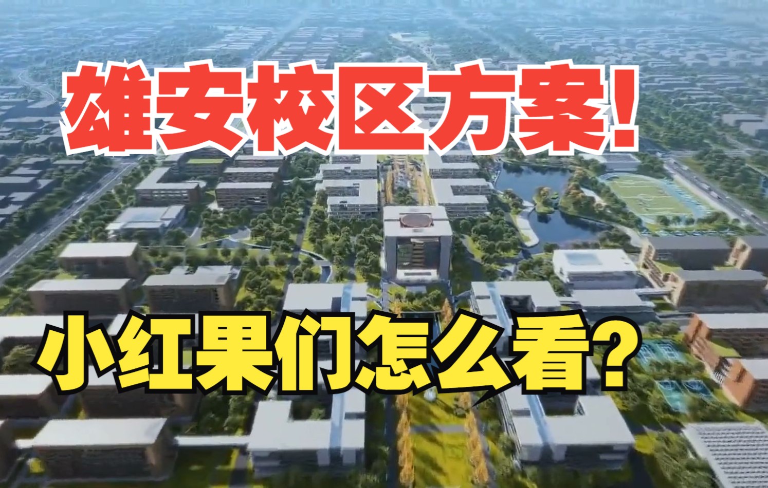 [图]【红果园街采】雄安校区你怎么看？