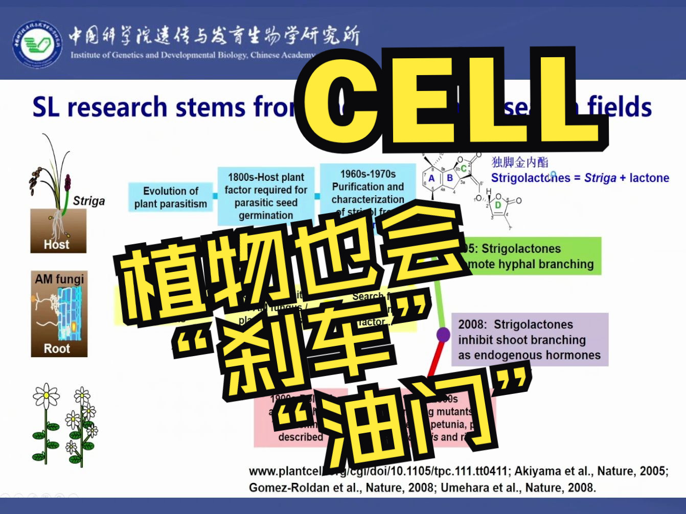 【一作讲坛】中国科学院遗传发育所王冰研究员等在独脚金内酯信号感受研究中取得重大进展哔哩哔哩bilibili