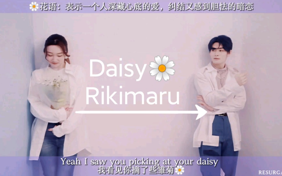 力丸《Daisy》信达雅翻译版哔哩哔哩bilibili