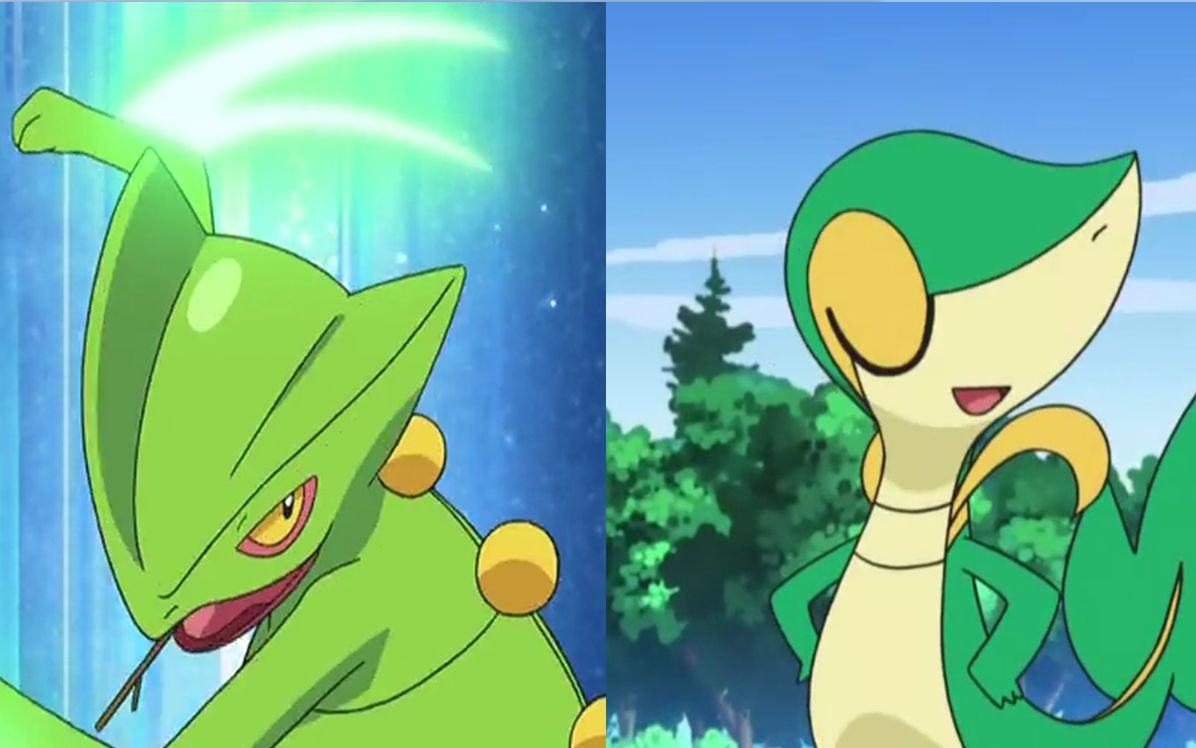 盘点小智高冷又傲娇的草系御三家们