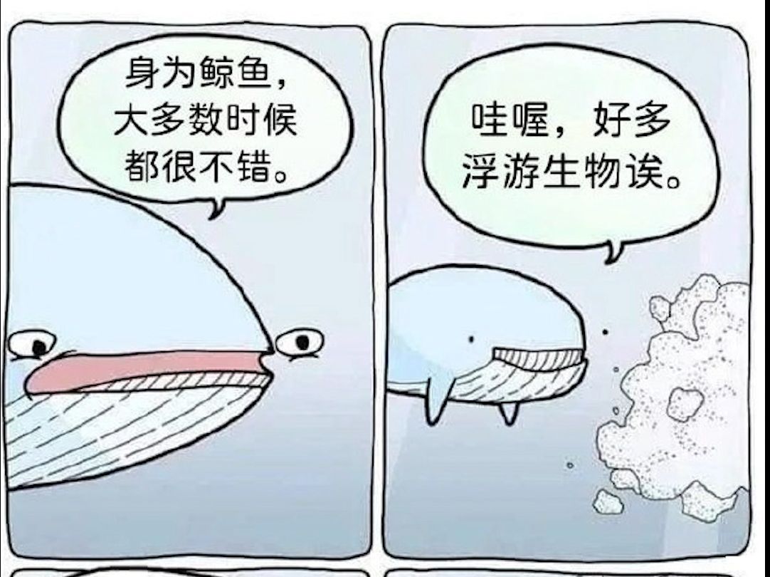 【囧图一乐】大吃亿鲸❗Eat a whale哔哩哔哩bilibili