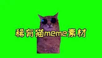 Скачать видео: 稀有猫meme绿幕GB素材（自选）