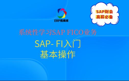 SAP系统安装入门基本操作哔哩哔哩bilibili