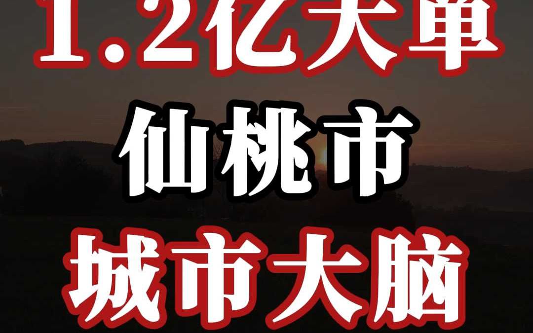 1.2 亿大单、仙桃市城市大脑(二期)EPC哔哩哔哩bilibili