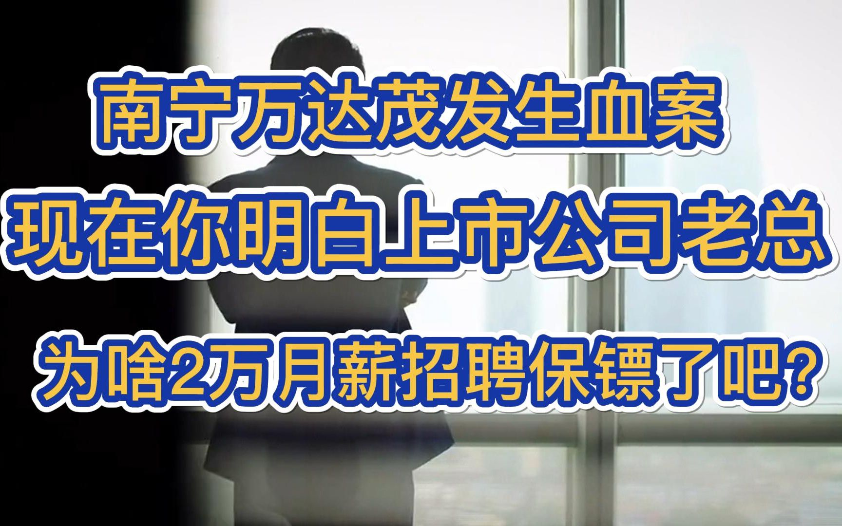 南宁万达茂发生血案,你明白上市公司老总为啥2万月薪招聘保镖了吧?哔哩哔哩bilibili