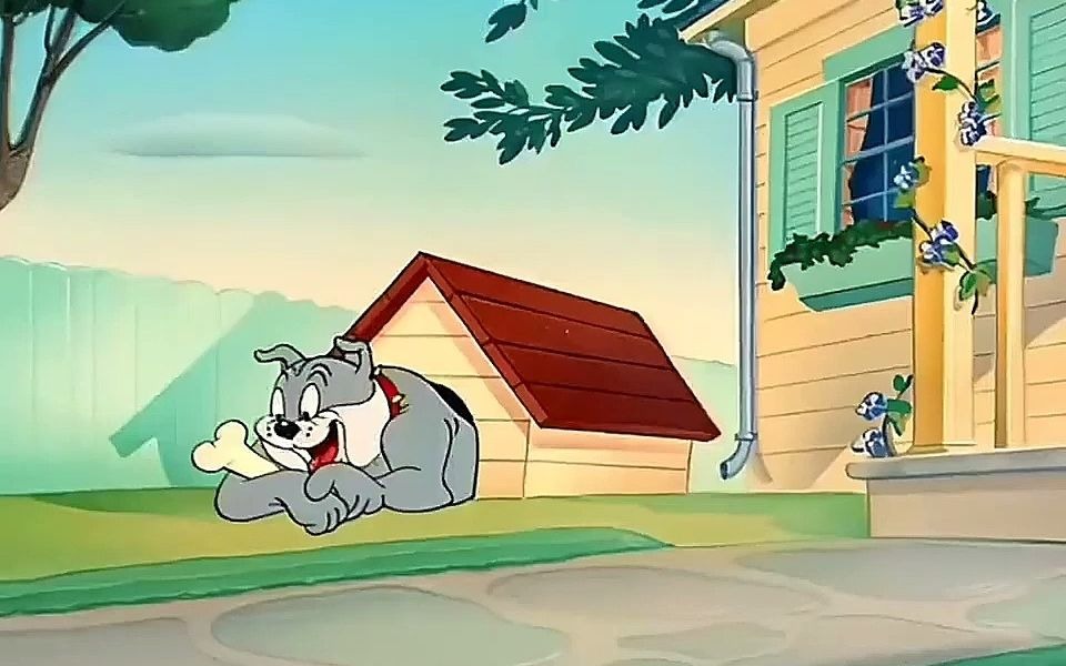 "#猫和老鼠 #专治不开心 #治愈系