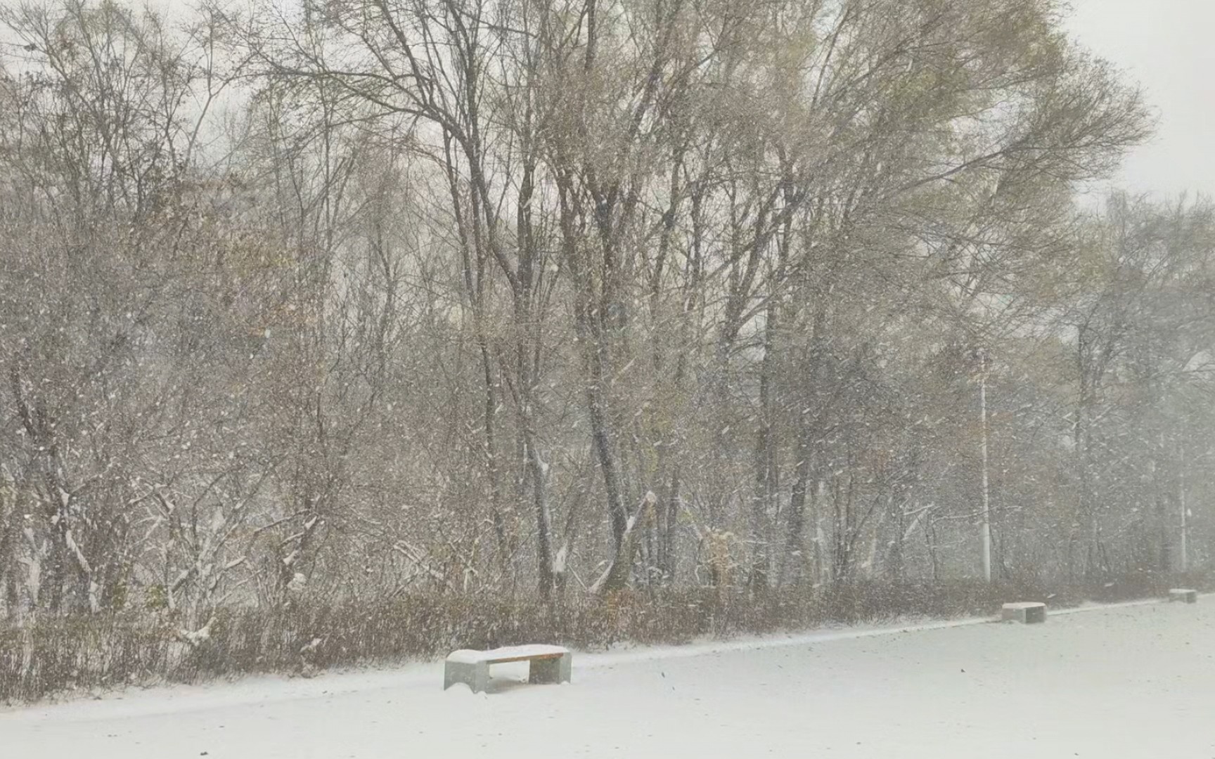 [图]哈尔滨下大雪啦，来打雪仗啊