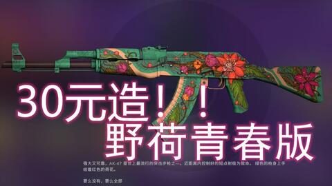 CS:GO AK47, 野荷