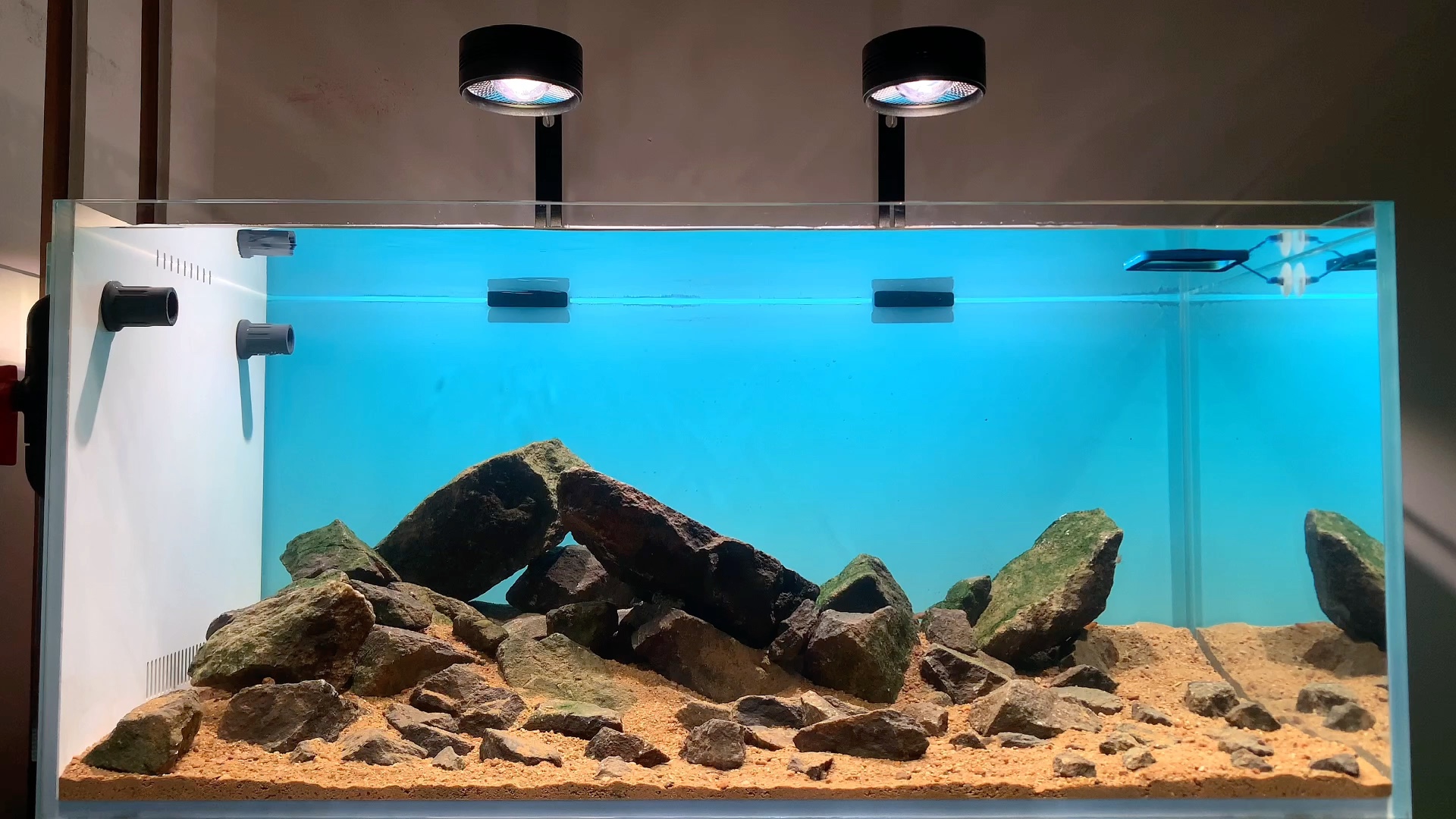 三湖慈鲷原生缸