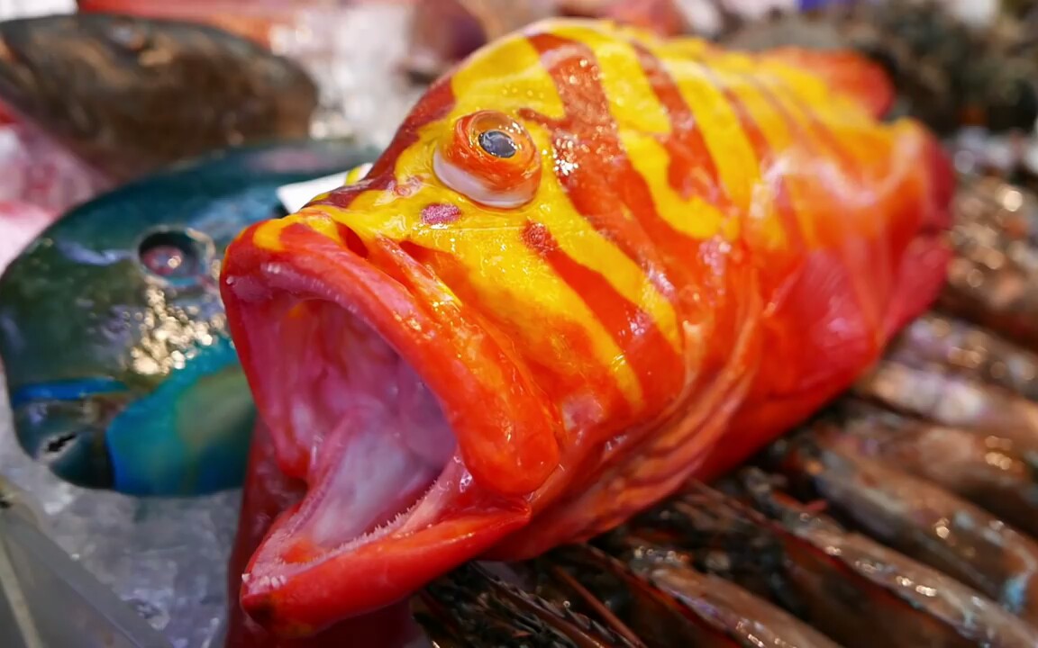 日本街头食品——日本冲绳海皇石斑鱼