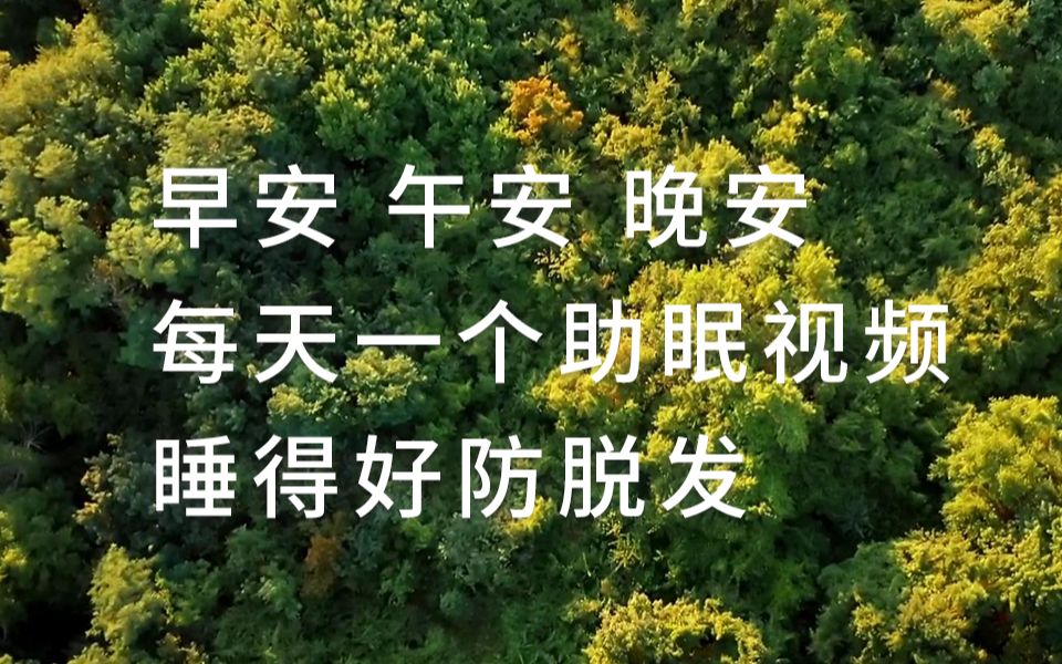 [图]【助眠】02森系轻音乐放松冥想，缓解压力，祝你做个好梦。