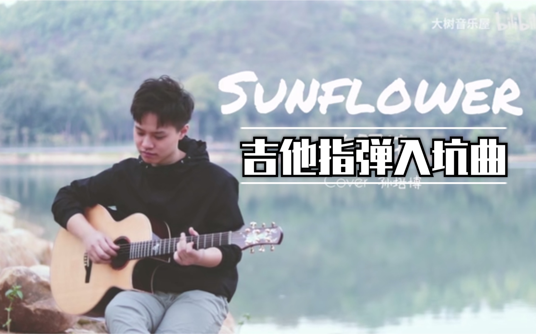 [图]指弹入坑曲《Sunflower》太阳花-吉他指弹演示 Cover孙培博-吉他指弹教学-大树音乐屋