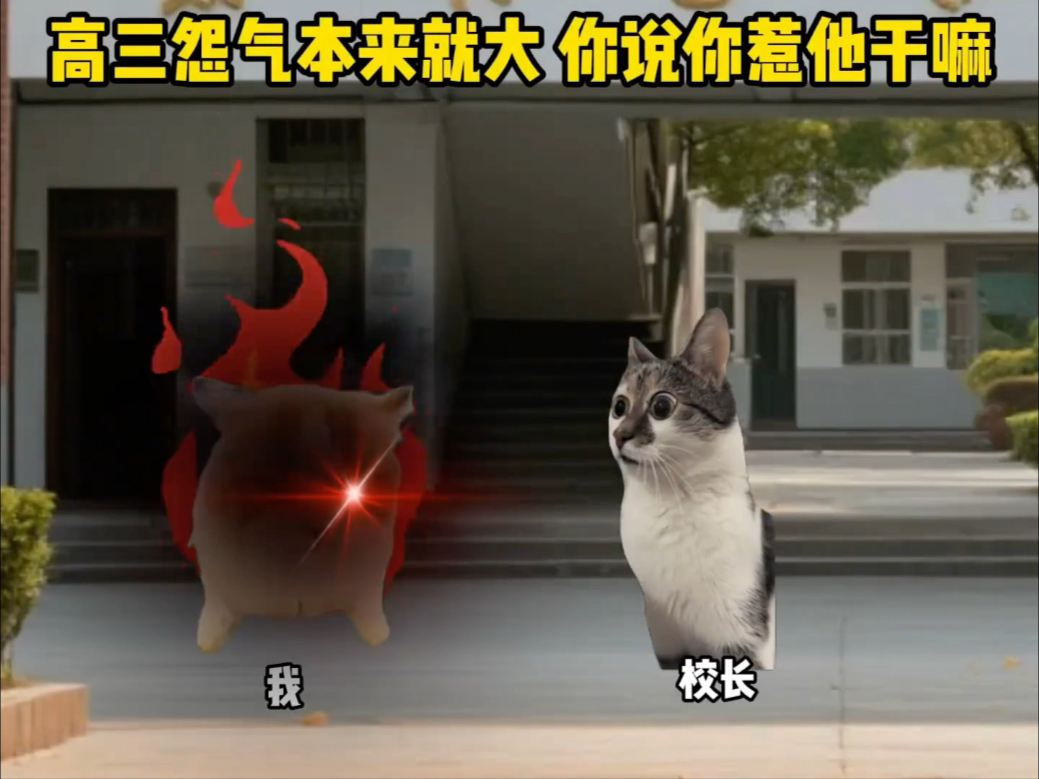本来高三怨气就大你惹他干什么