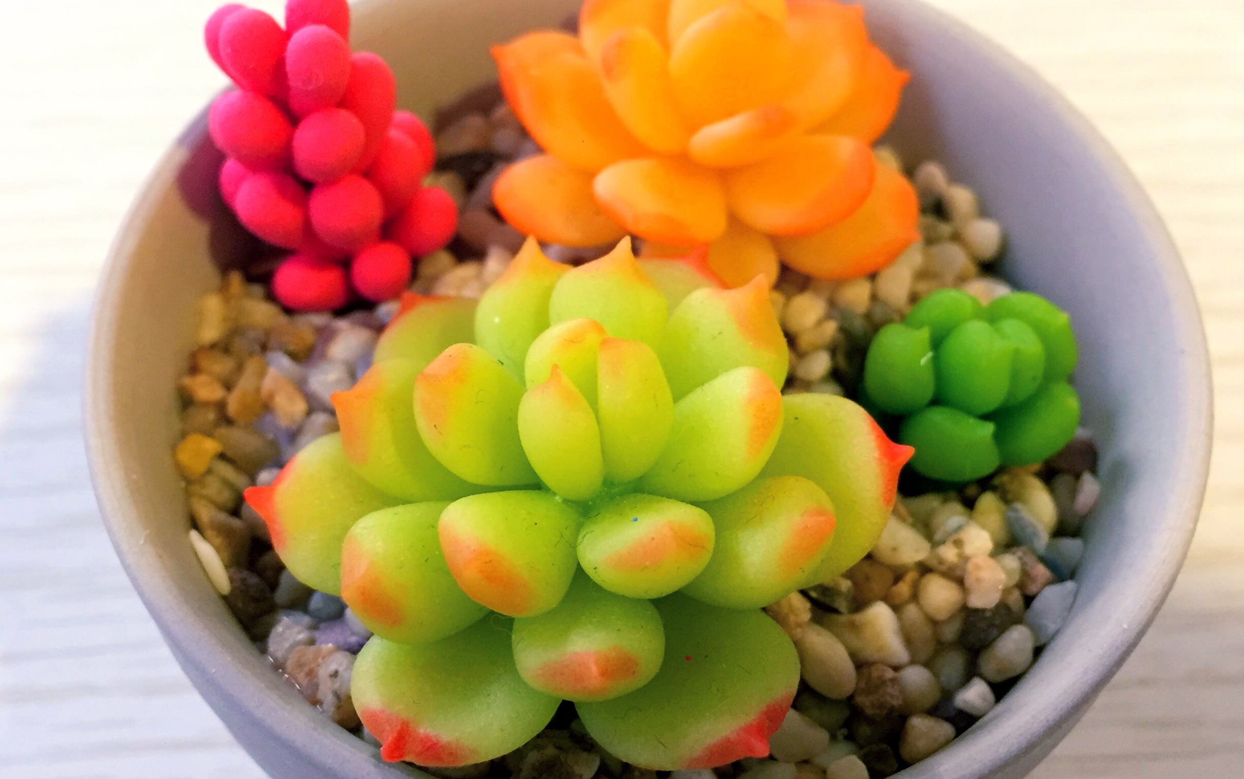 粘土幼儿园 多肉上色教程