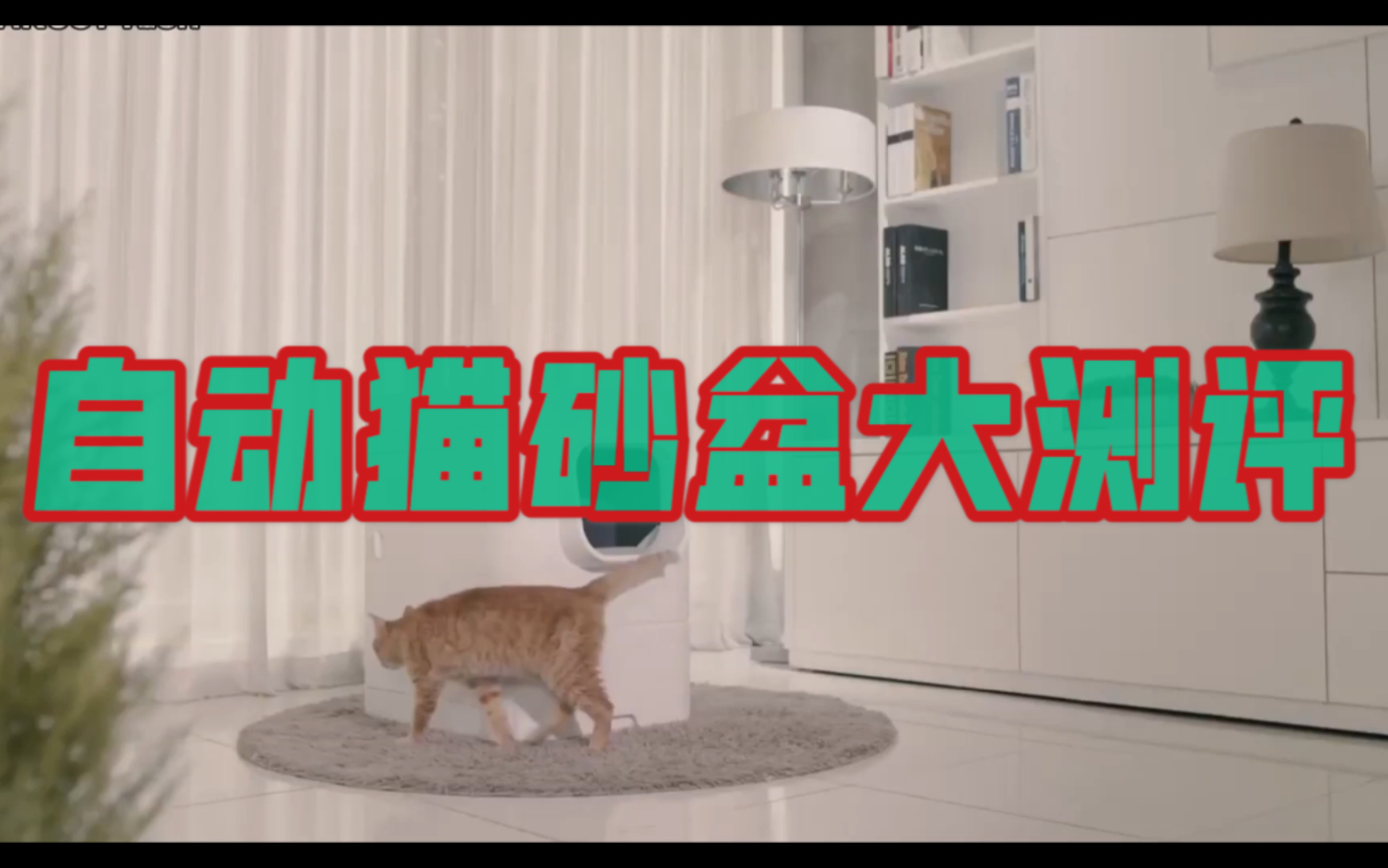 自动猫砂盆大测评哔哩哔哩bilibili