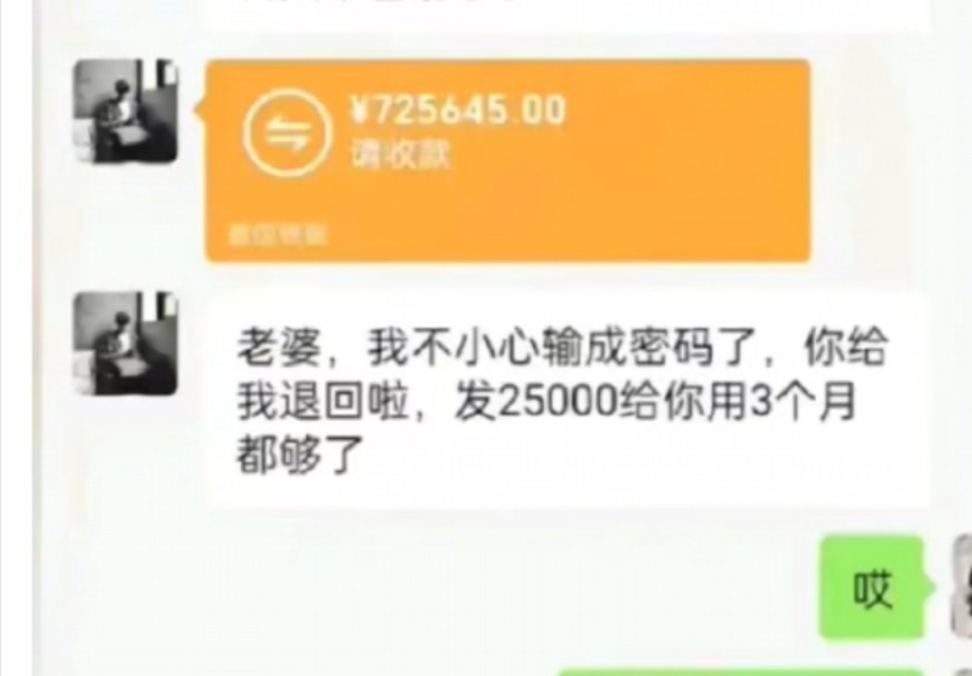 “不小心把转账金额输成密码了怎么办?”哔哩哔哩bilibili