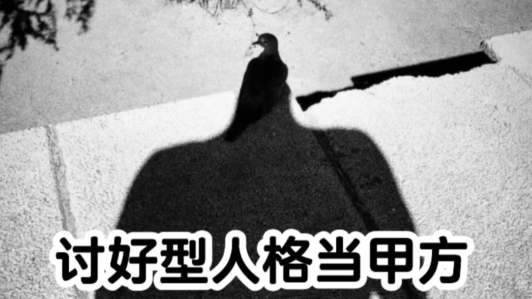 作为一个甲方,服务了不少乙方哔哩哔哩bilibili