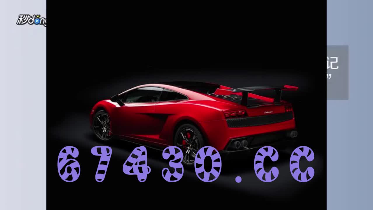 3.0分钟了解2024年新奥门王中王资料